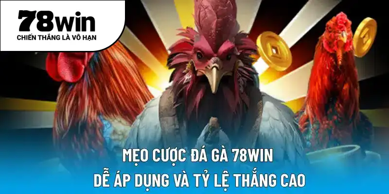 Mẹo cược đá gà 78WIN dễ áp dụng và tỷ lệ thắng cao
